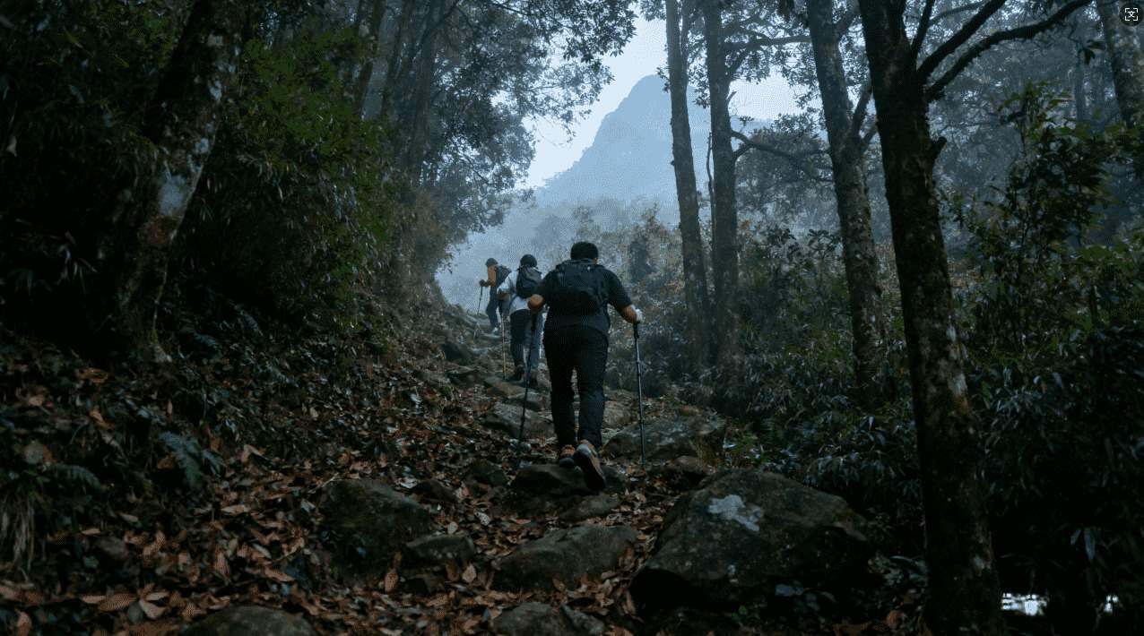 旋风加速器海外干扰事件深度解析